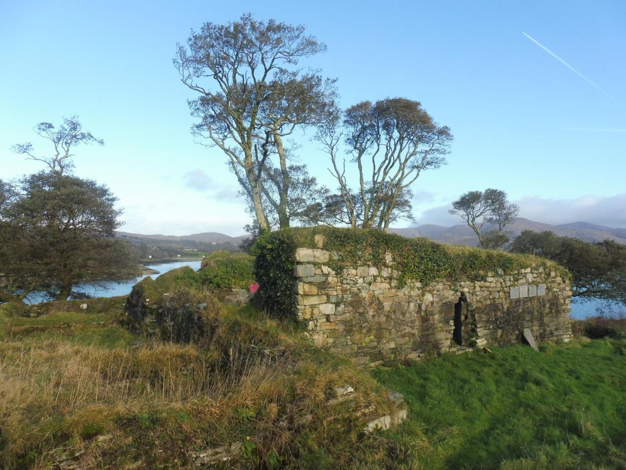 Island View House Bed & Breakfast Castletownbere Eksteriør bilde