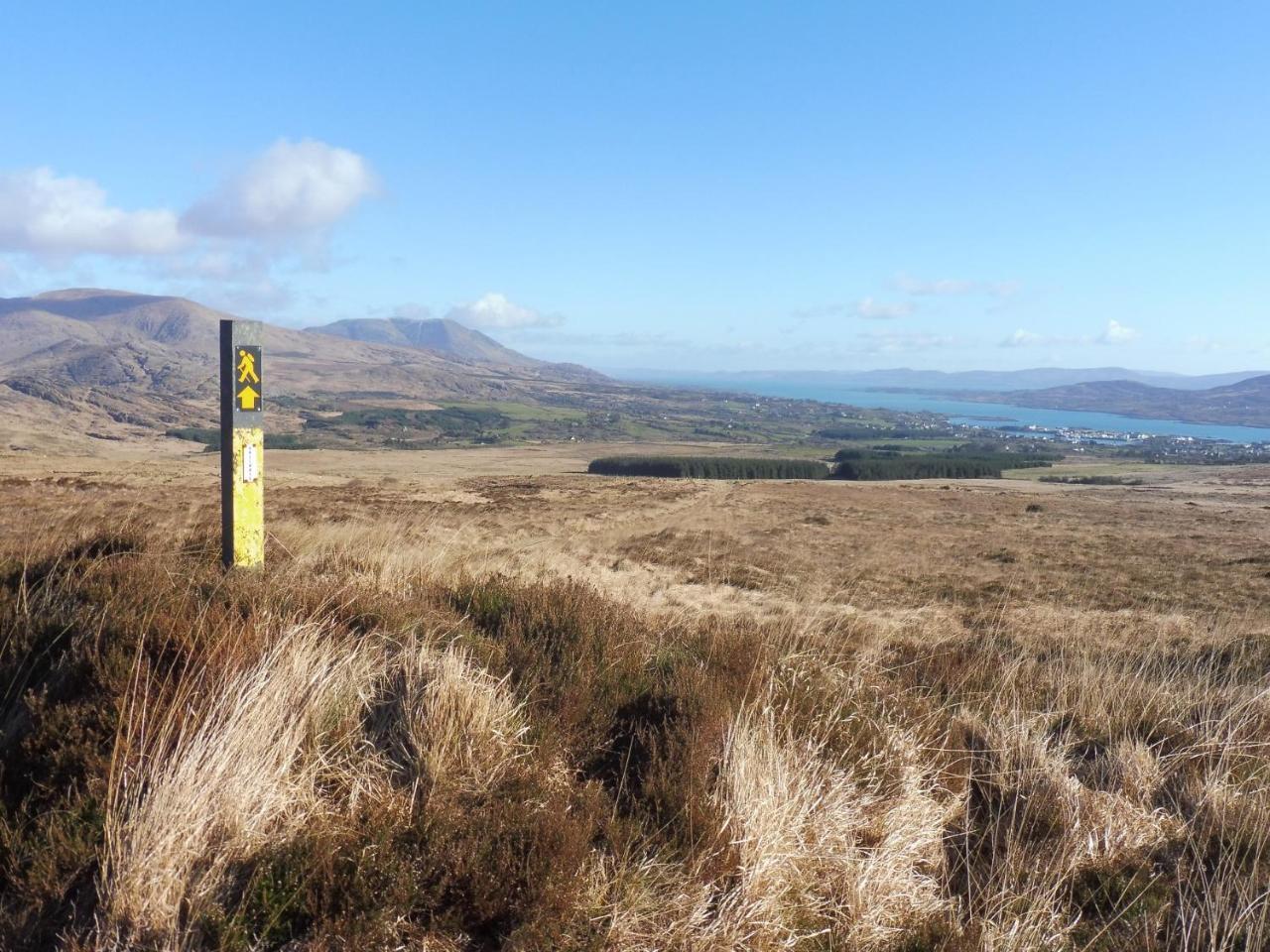 Island View House Bed & Breakfast Castletownbere Eksteriør bilde