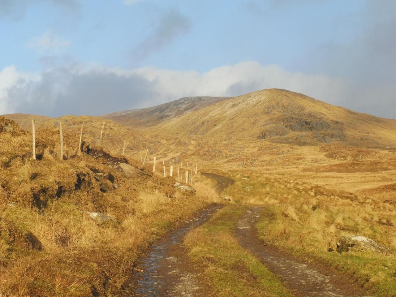 Island View House Bed & Breakfast Castletownbere Eksteriør bilde