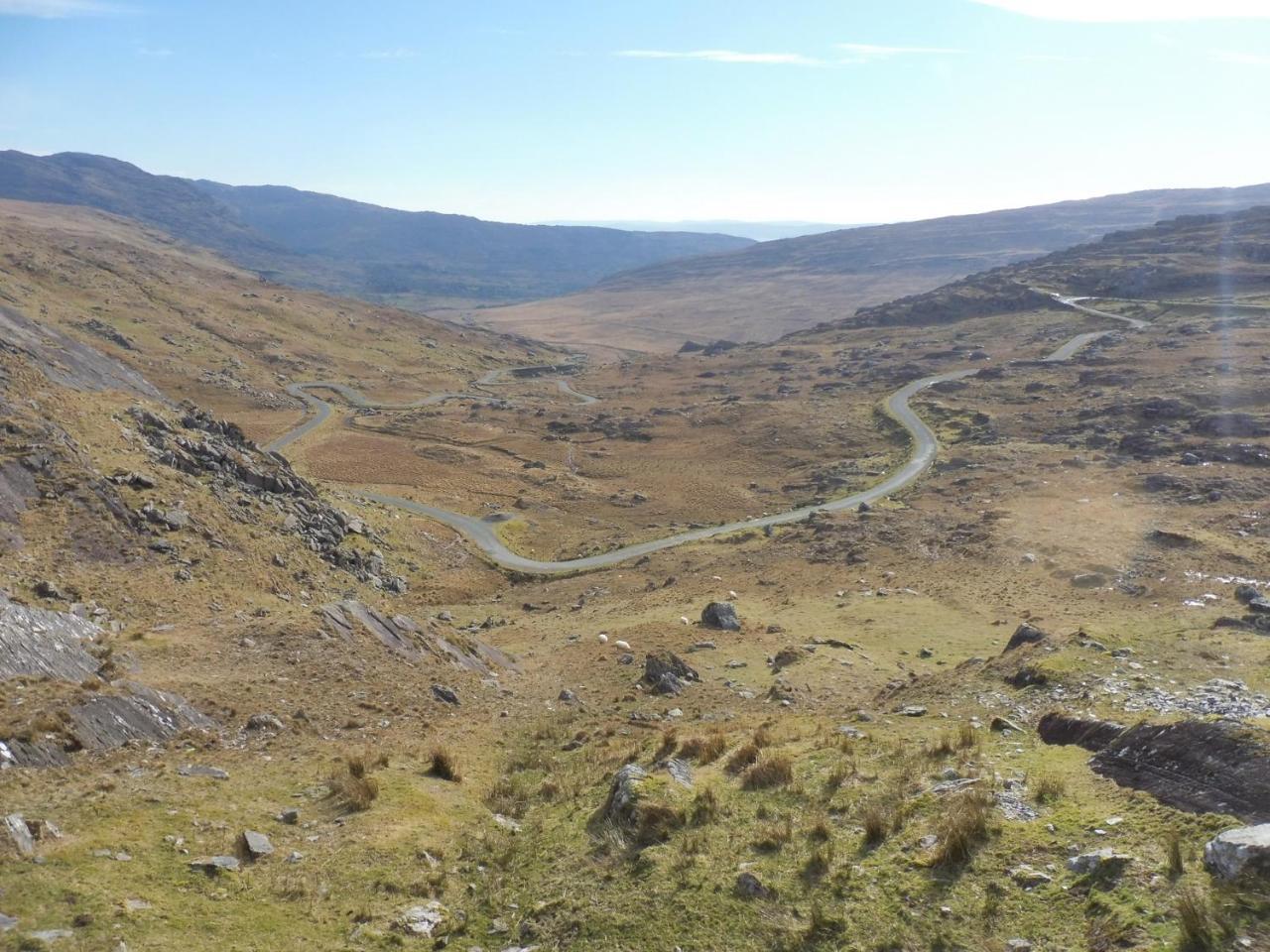 Island View House Bed & Breakfast Castletownbere Eksteriør bilde